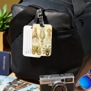 Vintage Octopus Squid Gamochonia by Ernst Haeckel Luggage Tag
