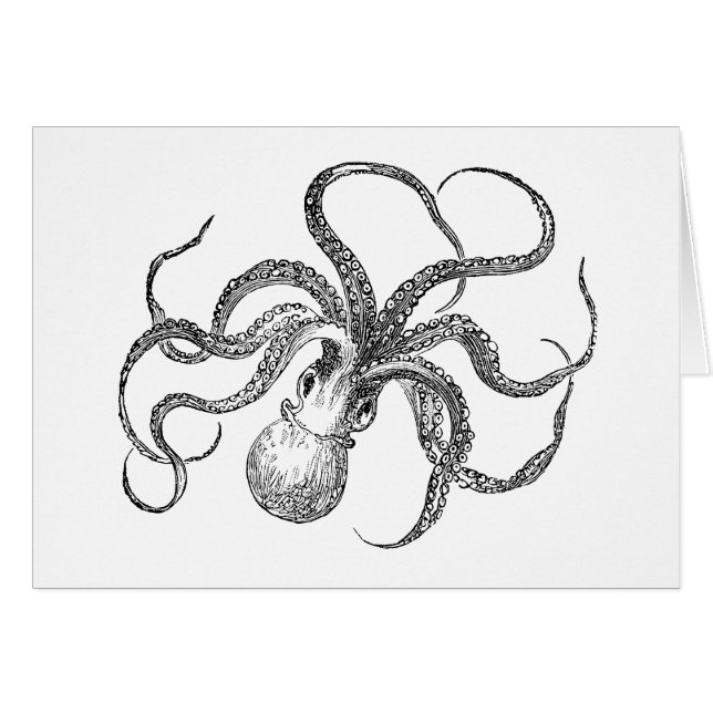 Vintage Octopus Template (Front Horizontal)