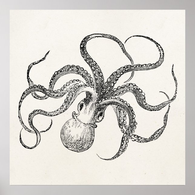 Vintage Octopus Template on Antique Paper Poster (Front)