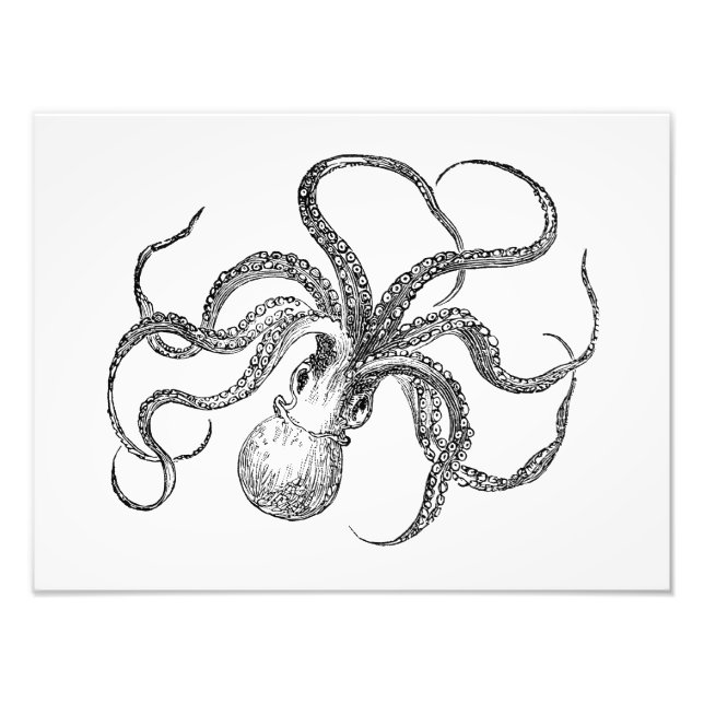 Vintage Octopus Template Photo Print (Front)