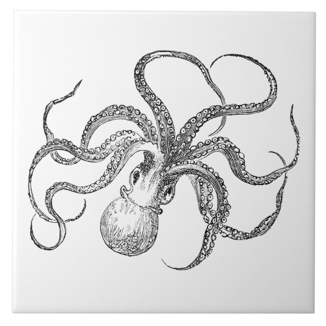 Vintage Octopus Template Tile (Front)