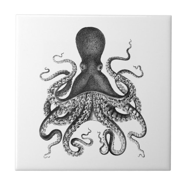 Vintage Octopus Tile (Front)