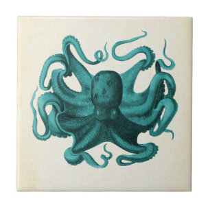 Vintage Octopus Tile