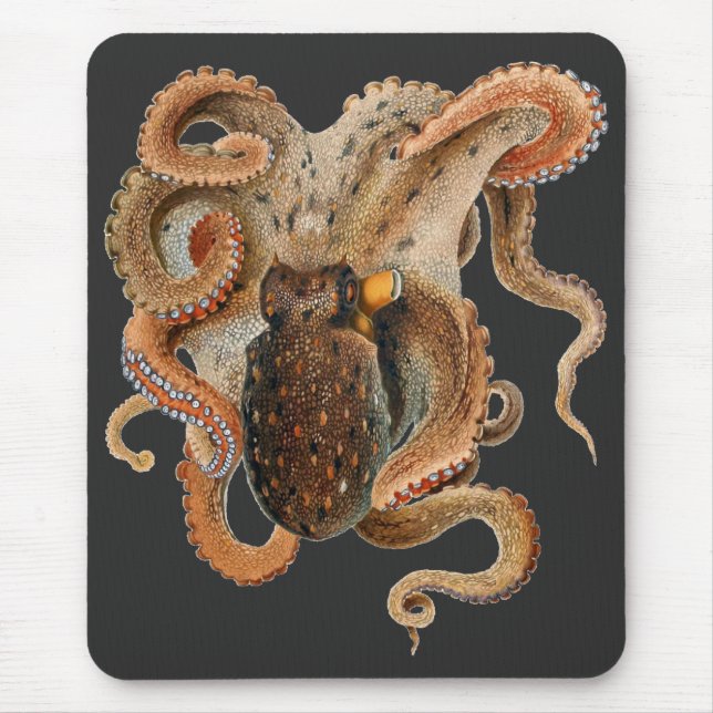 Vintage Octopus Vulgaris, Marine Life Animals Mouse Pad (Front)