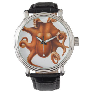 Vintage Octopus Watches