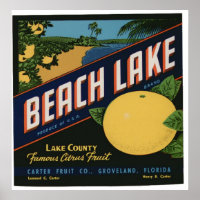 Vintage Old Citrus Fruit Crate Labels