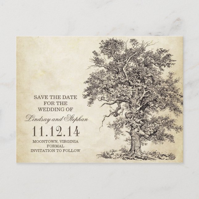 vintage old oak tree save the date postcards (Front)