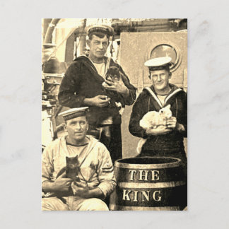 Vintage Old Photo 3 Sailors Holding Cats Postcard