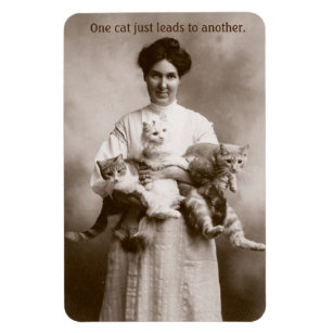Vintage - One Cat Just Leads to Another, Magnet