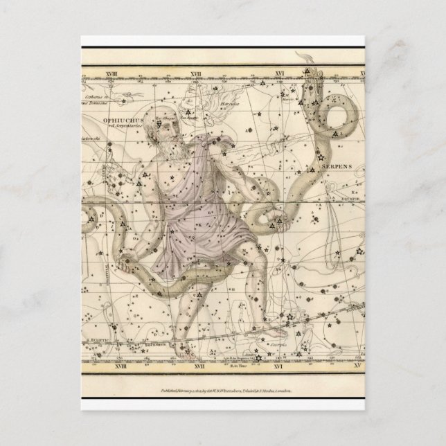 Vintage Ophiuchus Constellation Zodiac Postcard (Front)