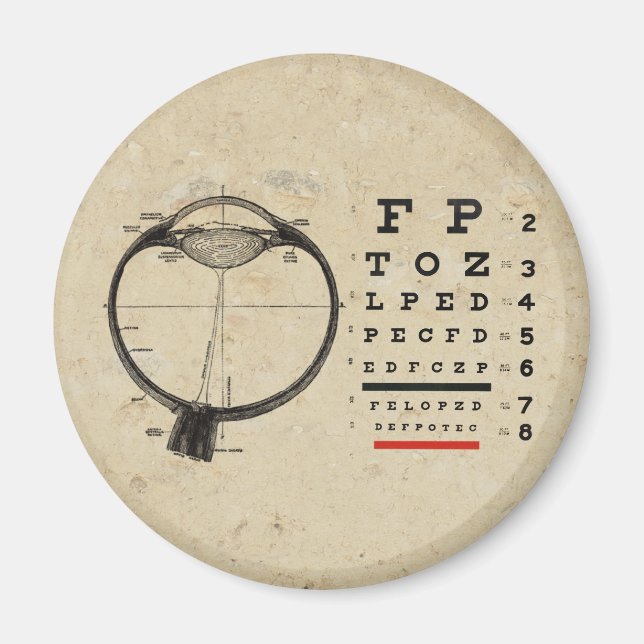 Vintage Ophthalmologist Magnet (Front)