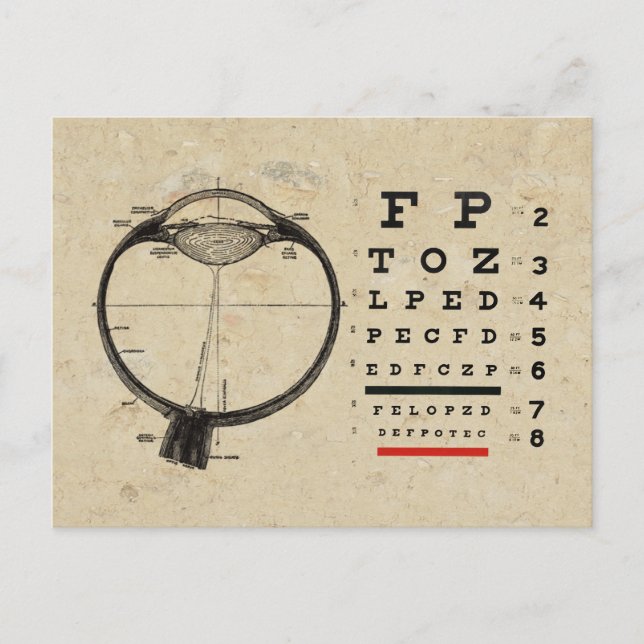 Vintage Ophthalmologist Postcard (Front)