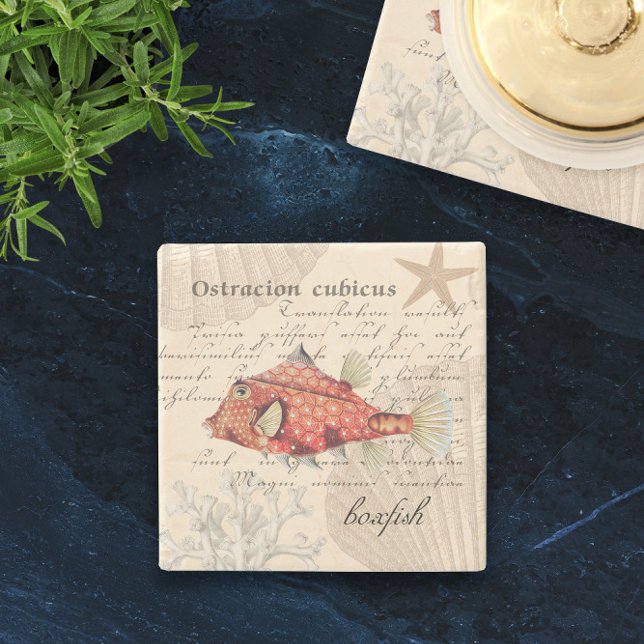 🐠 Vintage Orange Boxfish Illustration Nautical Stone Coaster (🐠 Vintage Orange Boxfish Illustration Nautical Stone Coaster
)