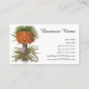 Vintage Orange Fritillaria Flowers Basilius Besler Business Card