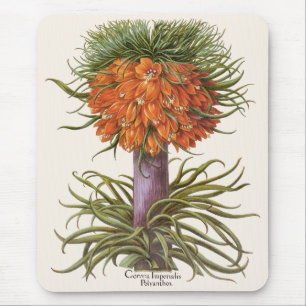 Vintage Orange Fritillaria Flowers Basilius Besler Mouse Pad
