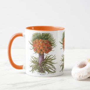 Vintage Orange Fritillaria Flowers Basilius Besler Mug