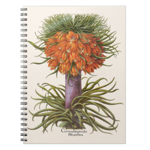 Vintage Orange Fritillaria Flowers Basilius Besler Notebook