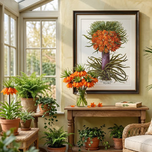 Vintage Orange Fritillaria Flowers Basilius Besler Poster