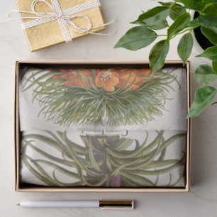 Vintage Orange Fritillaria Flowers Basilius Besler Tissue Paper