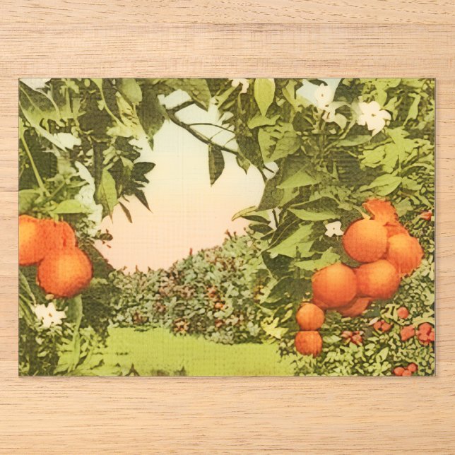 Vintage Orange Grove Acrylic Invitations (Front)