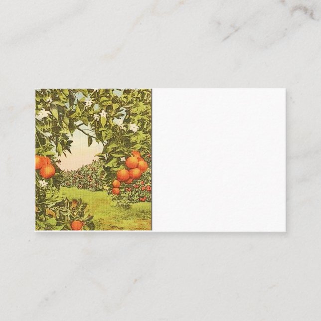Vintage Orange Grove Business Card (Front)