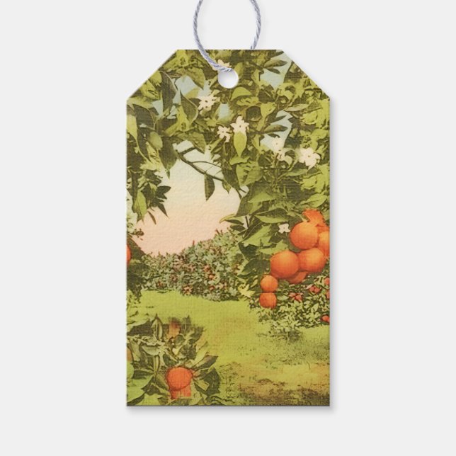 Vintage Orange Grove Gift Tags (Front)