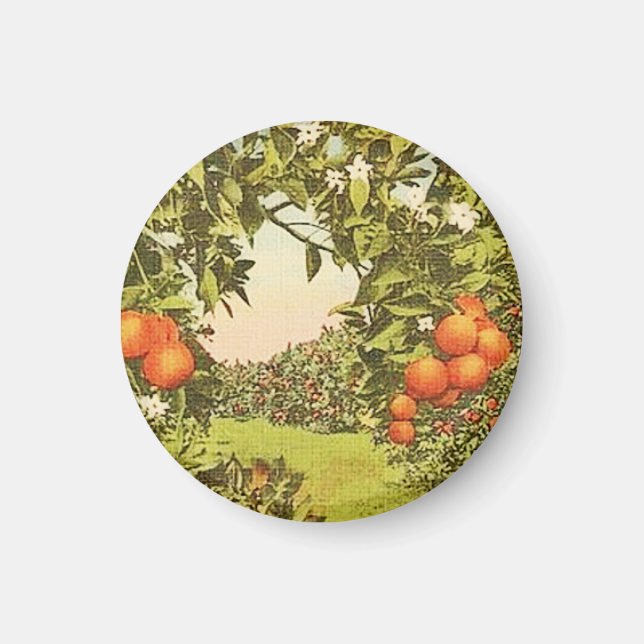 Vintage Orange Grove Magnet (Front)