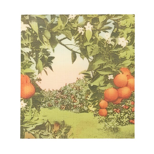 Vintage Orange Grove Notepad (Front)