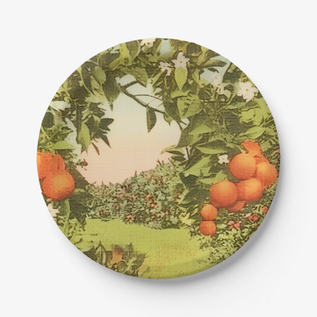 Vintage Orange Grove Paper Plate (Front)