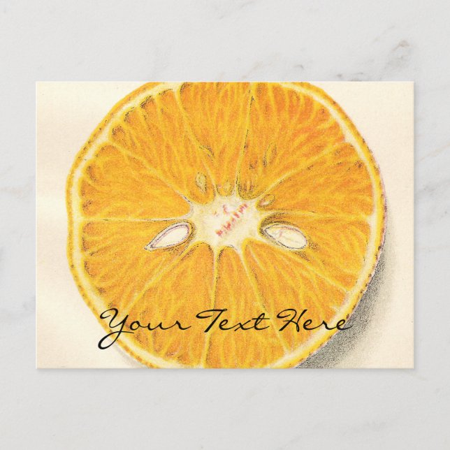Vintage Orange Postcard (Front)