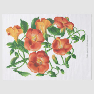 Vintage Orange Yellow Flower Decoupage Tissue Paper