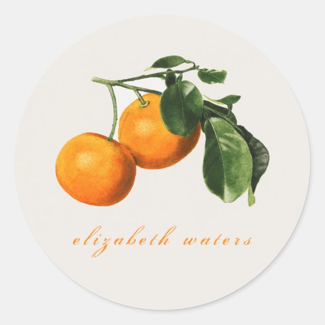 "VINTAGE ORANGES" CUSTOMIZABLE ENVELOPE SEAL (Front)