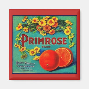 Vintage oranges fruit advertisement label magnet