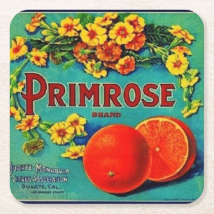 Vintage oranges fruit advertisement label square paper coaster