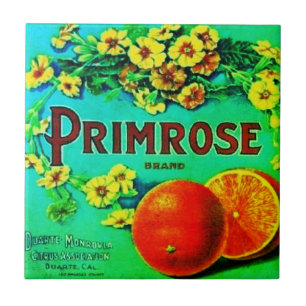 Vintage oranges fruit company ceramic tile