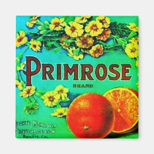 Vintage oranges fruit floral advertisement label magnet