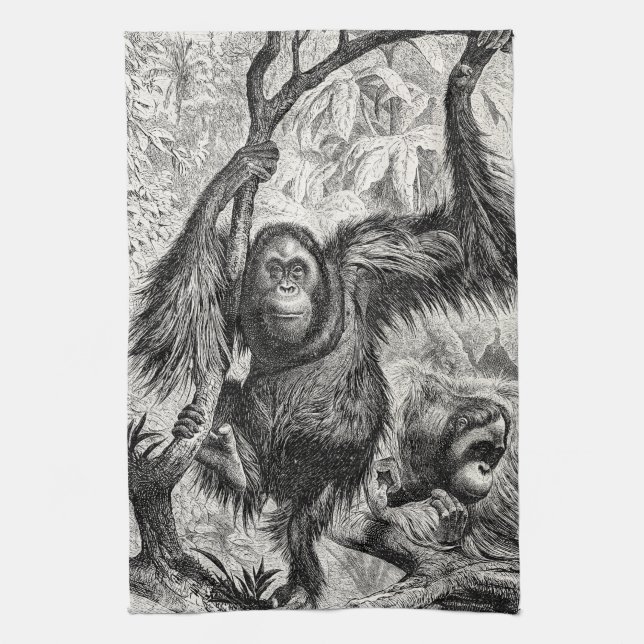 Vintage Orangutan Illustration - 1800's Monkey Tea Towel (Vertical)