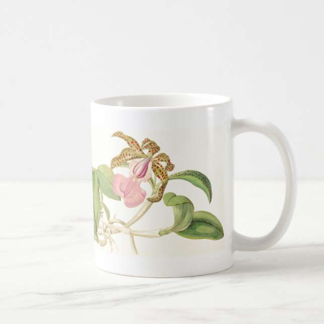 Vintage Orchid Flowers Mug (Right)