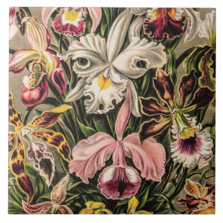 Vintage Orchids Flower by Ernst Haeckel Tile