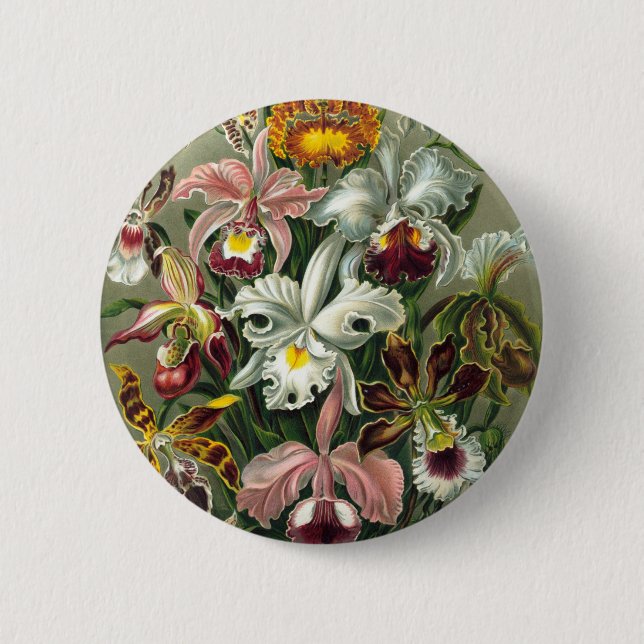 Vintage Orchids Illustration 6 Cm Round Badge (Front)