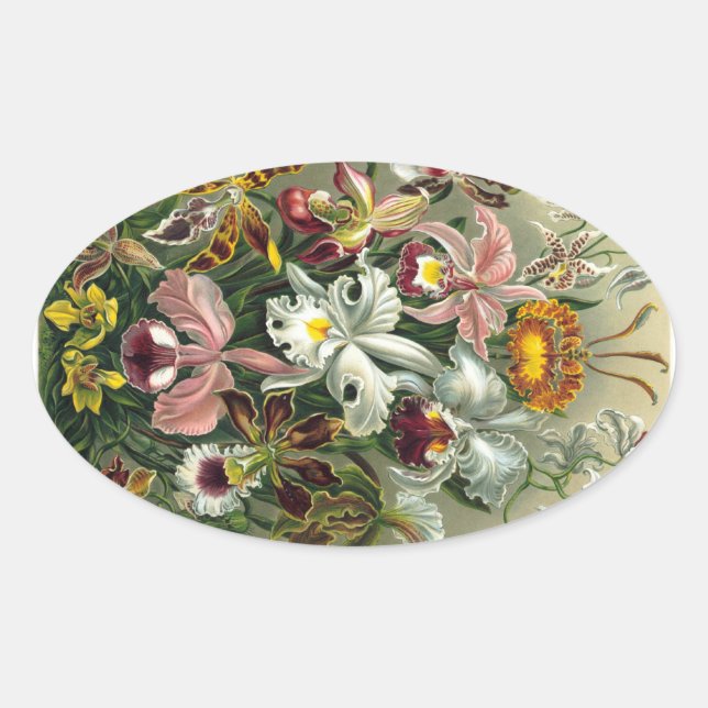 Vintage Orchids Oval Sticker (Front)