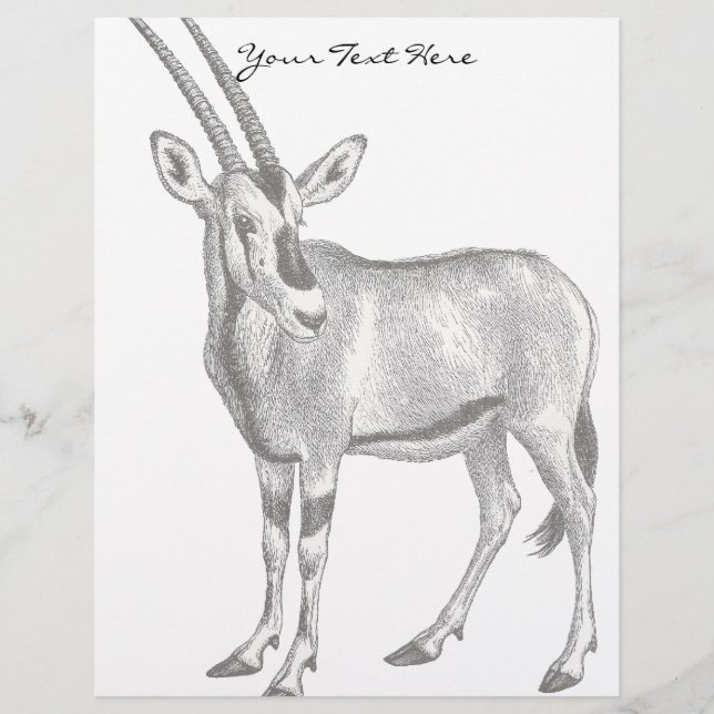 Vintage Oryx Letterhead (Front)