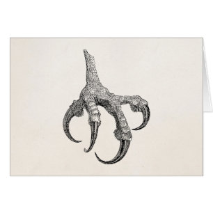 Vintage Osprey Claw Personalised Retro Bird Claws