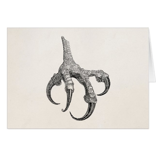 Vintage Osprey Claw Personalised Retro Bird Claws (Front Horizontal)