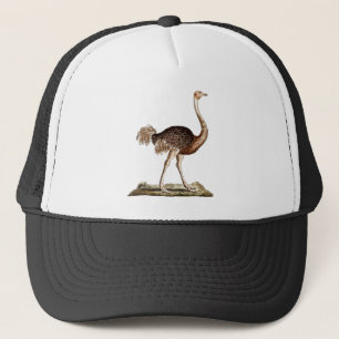Vintage Ostrich Illustration Retro 1700s Ostriches Trucker Hat