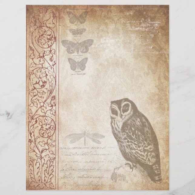 Vintage Owl Aged Scrapbook Paper (Front)