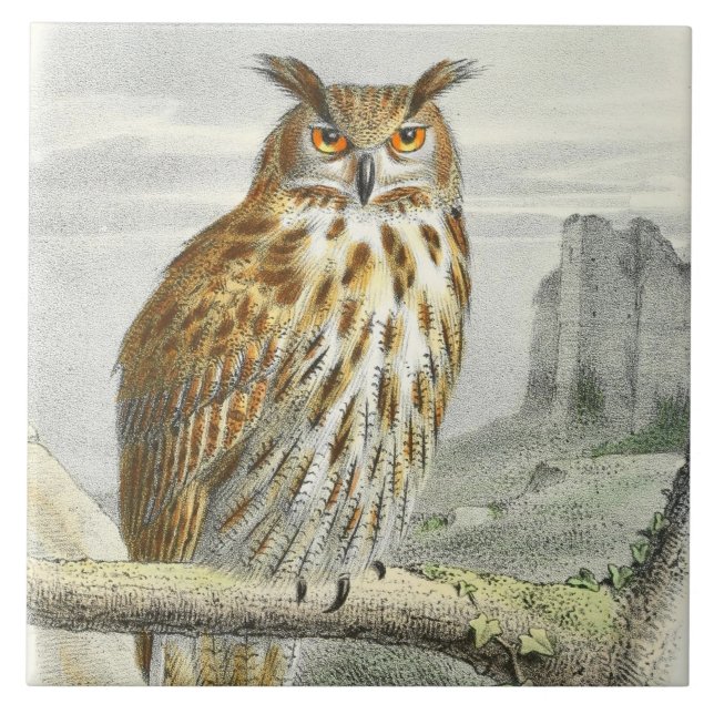Vintage owl animal decor tile (Front)