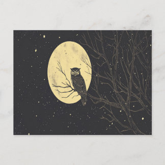 Vintage Owl Art Under A Moonlit Sky Postcard