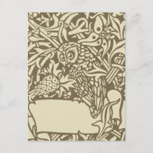 Vintage Owl Bookplate Arts and Crafts Walter Crane Postcard