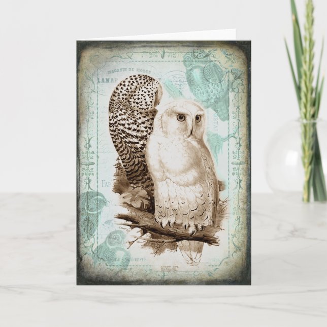 Vintage Owl Couple Greeting Card (Front)